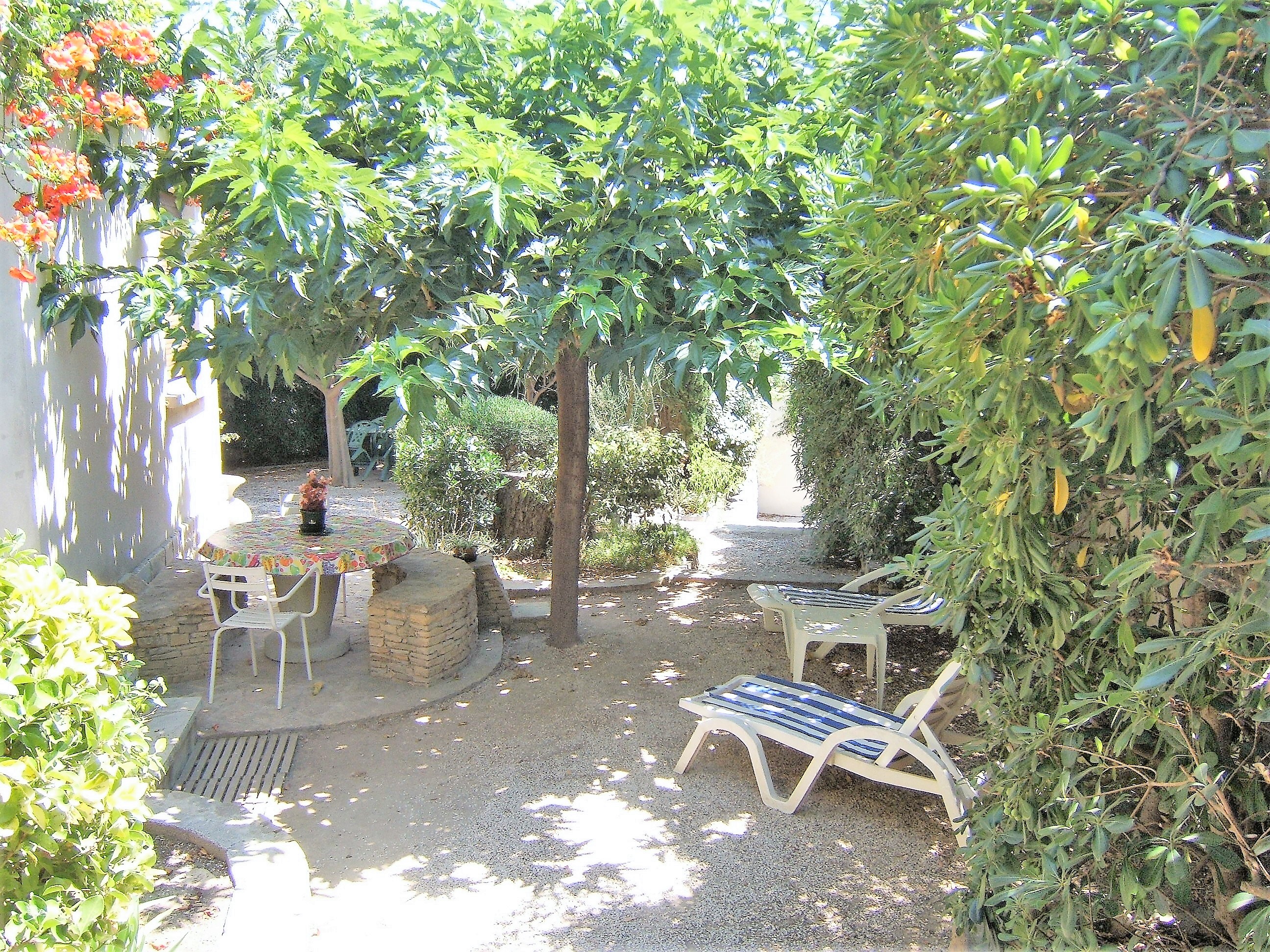 Agaves, La Ciotat - photo 3