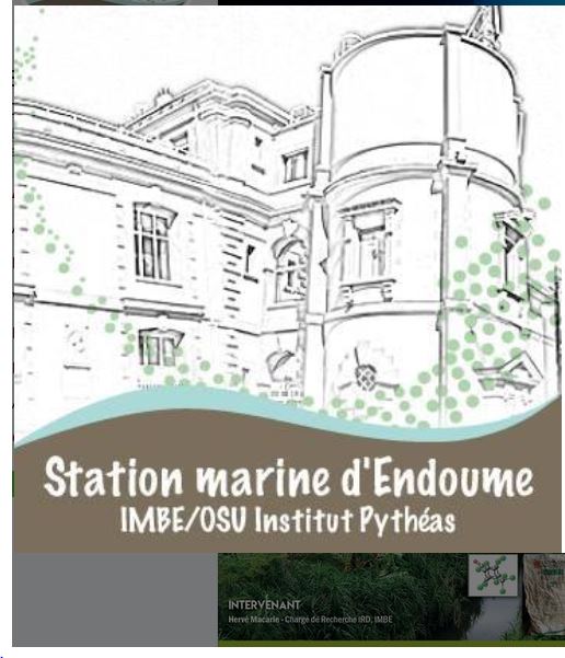 Station marine d'Endoume