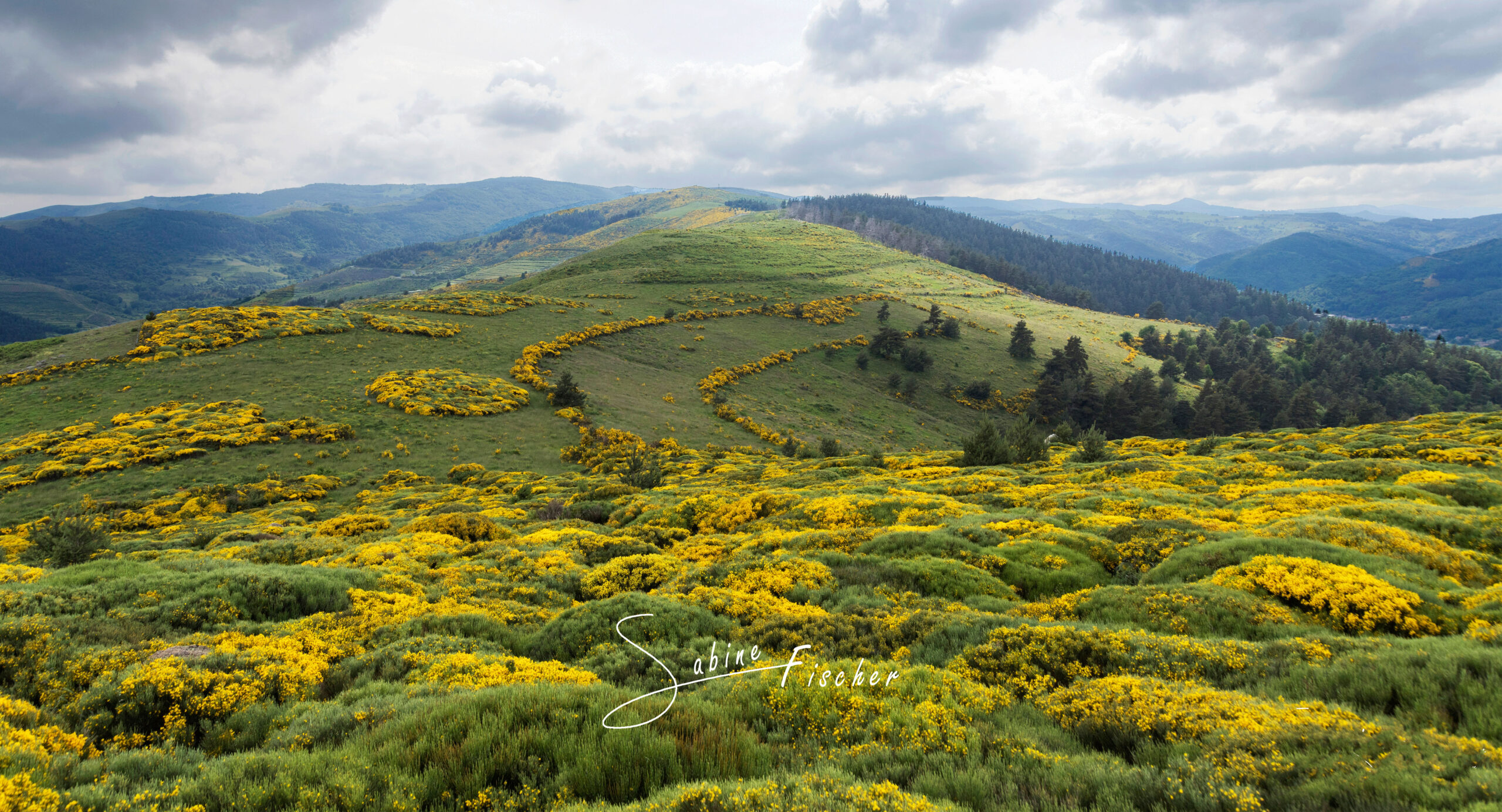 Photographie de Sabine Fischer