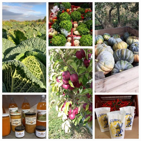 PRODUITS DISPONIBLE  à la vente