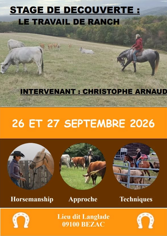 Stage découverte - Dressage cheval de ranch_Bézac