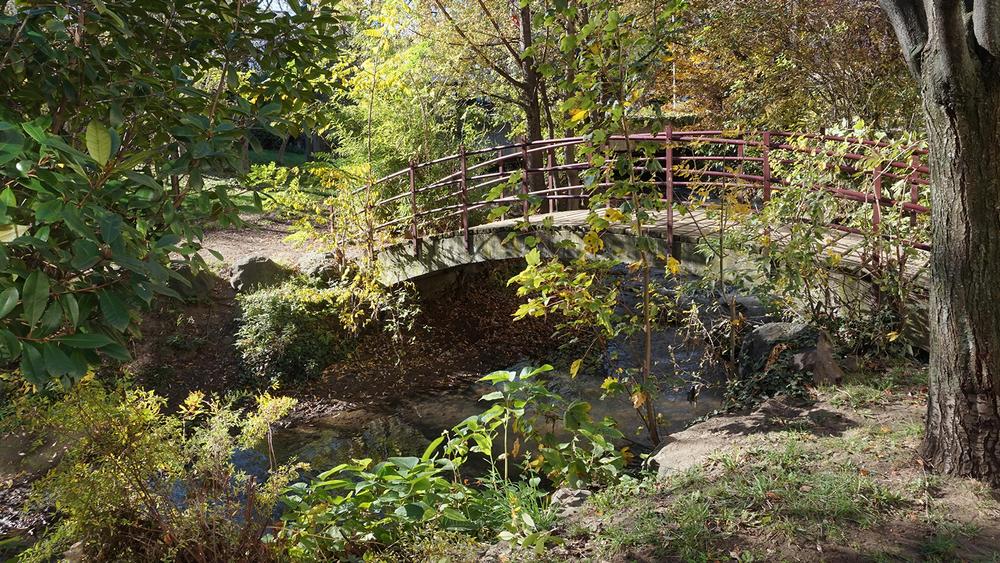 La Tiretaine au quartier Saint-Victor : cinq siècles d'histoire