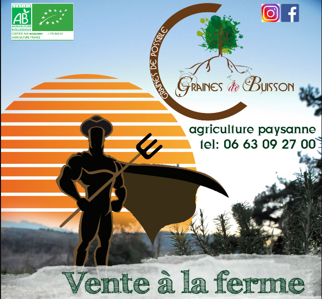 Marché paysan - Graines de Buisson_Plats