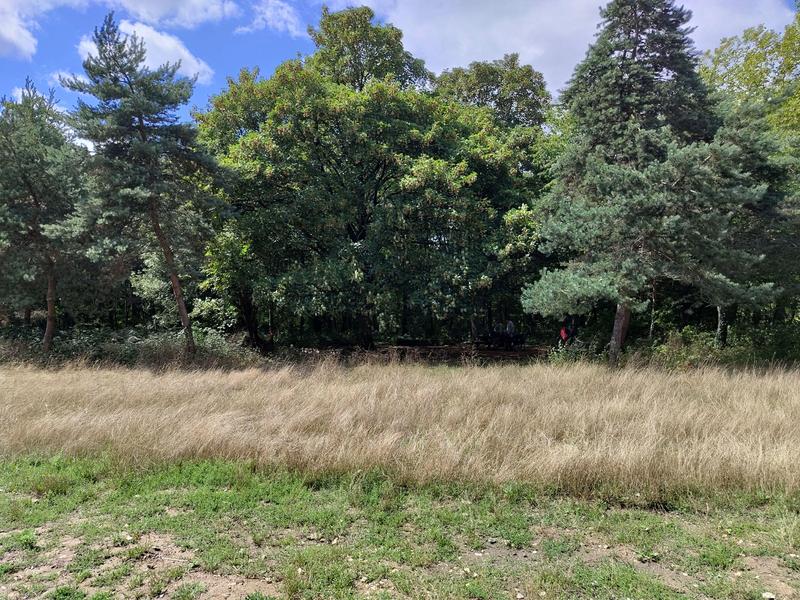 Bois de Vincennes 