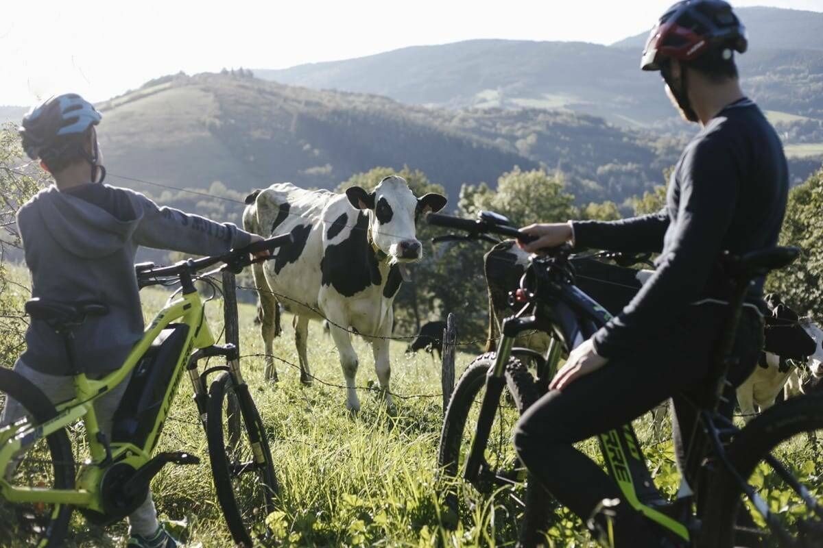 Séjour 2 jours - Week-end à la ferme en hébergement insolite