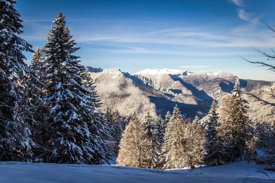 Vue sur les sommets des cabanes en Chartreuse