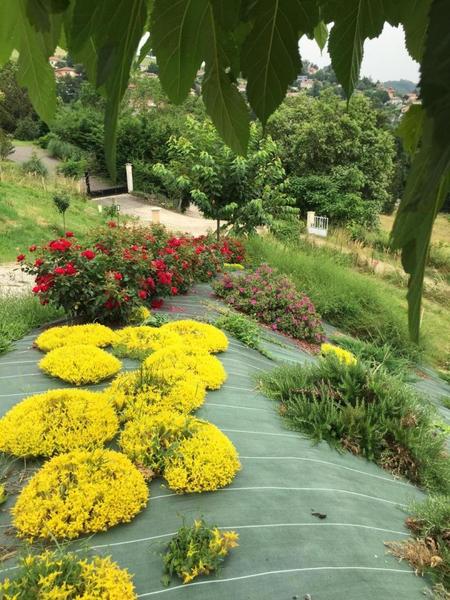 Gîte/maison de vacances indépendante \'La Belle Vie Là!\' à Saint-Forgeux (Rhône, Beaujolais, proximité Tarare et Lac des Sapins) : les extérieurs en cours de fleurissement.