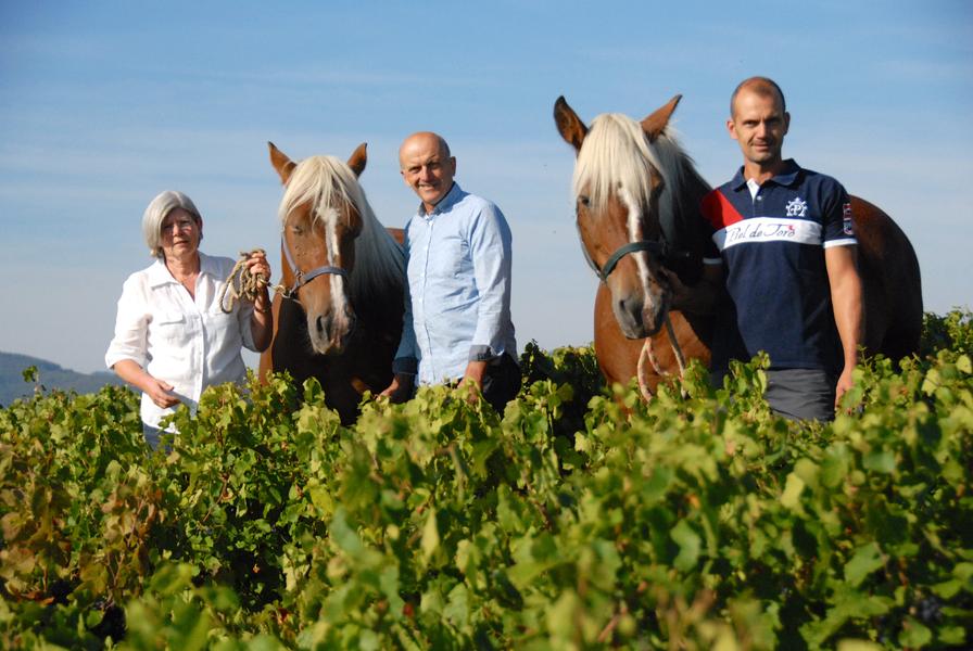 Domaine Lagneau une histoire de famille