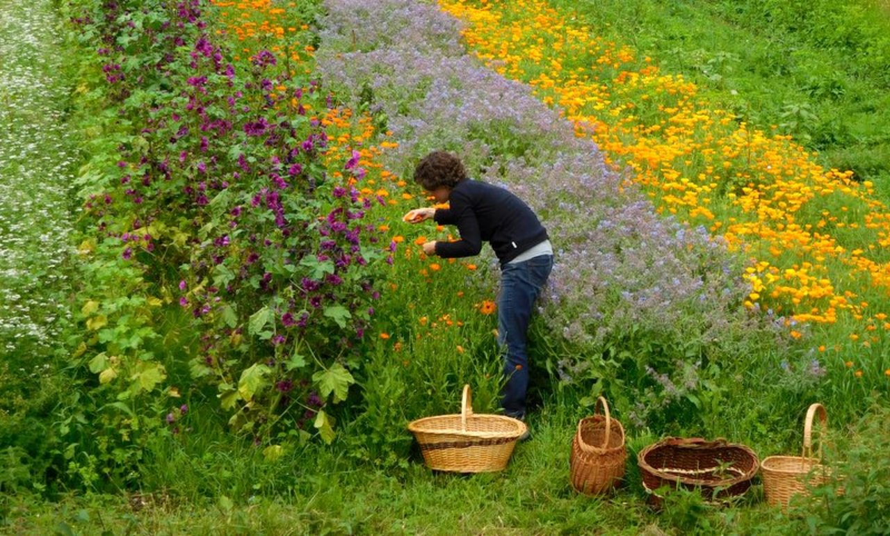 Ferme Contretemps