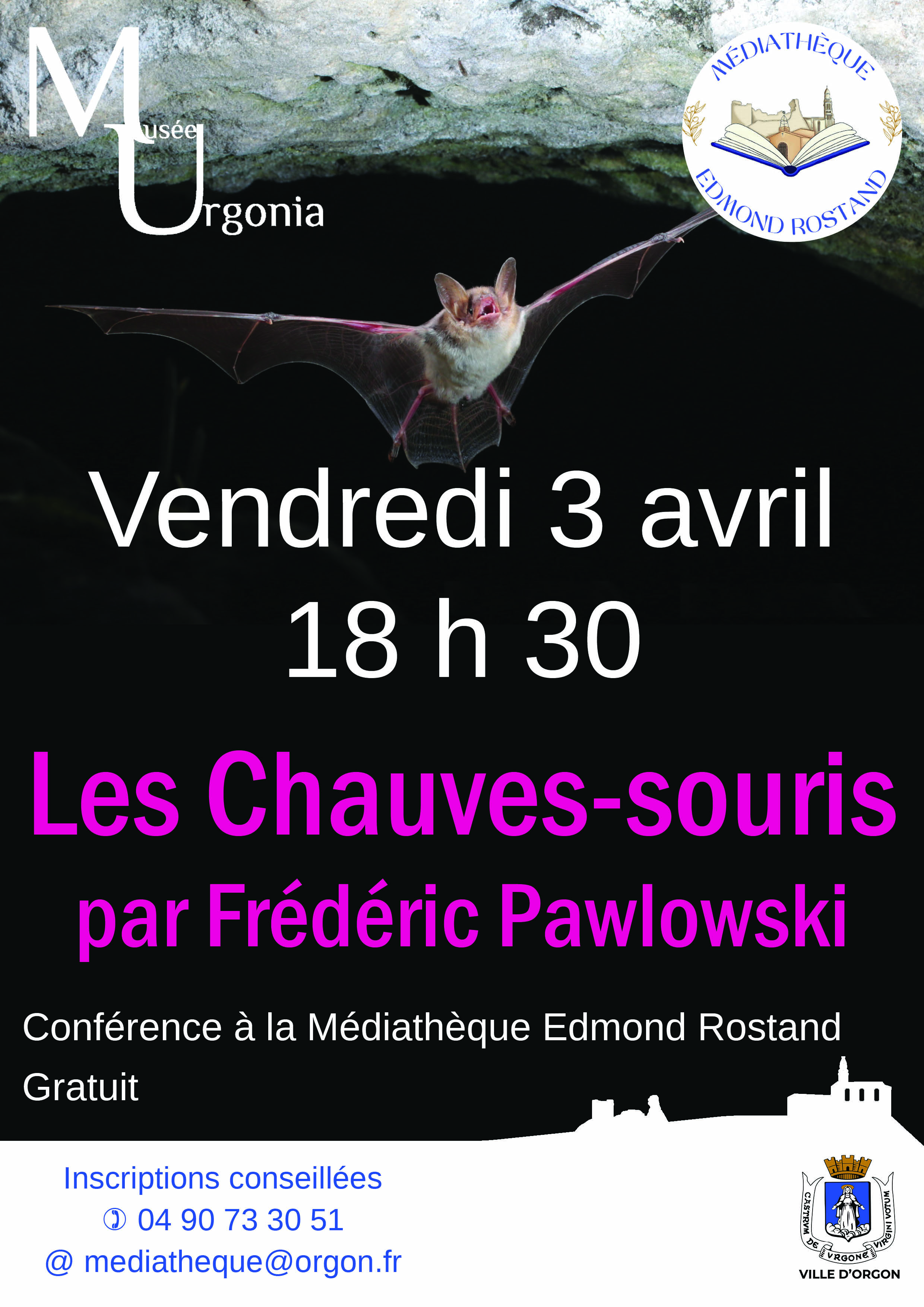 Conférence "Les chauves-souris"