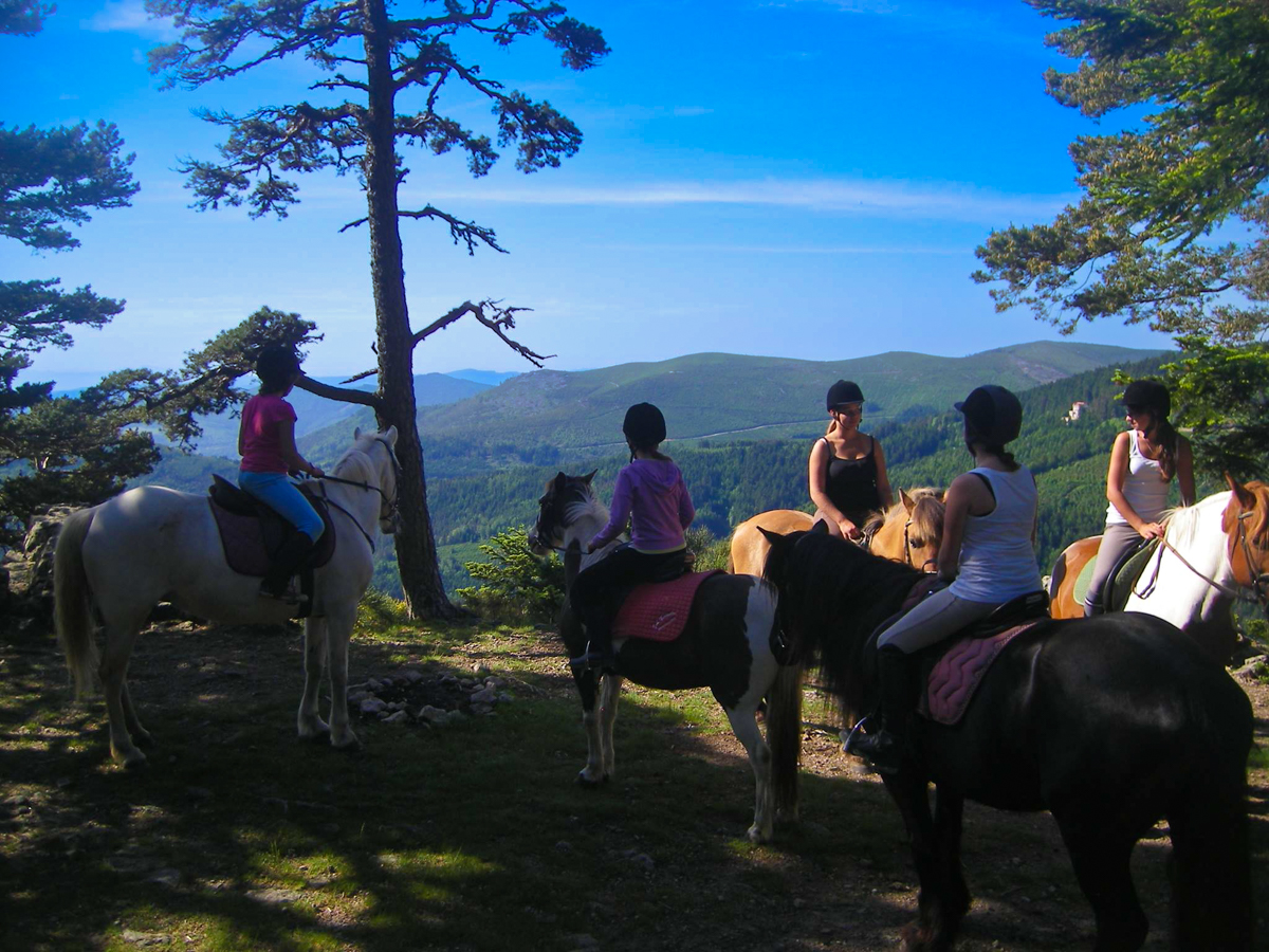 rando balade equestre