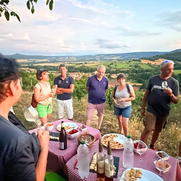 Oenobalade dans le vignoble Domaine Sauvat