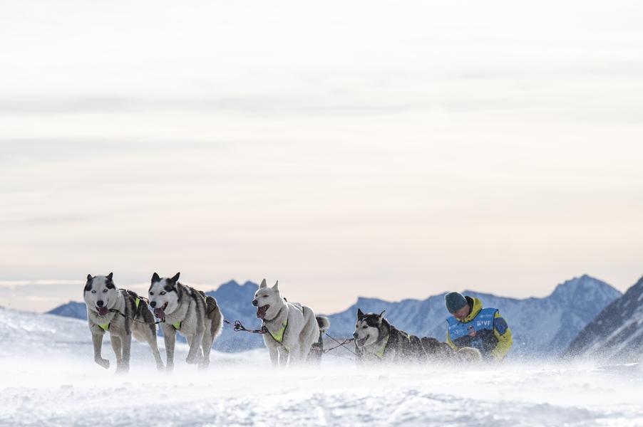 La Grande Odyssée Royal Canin - Bessans