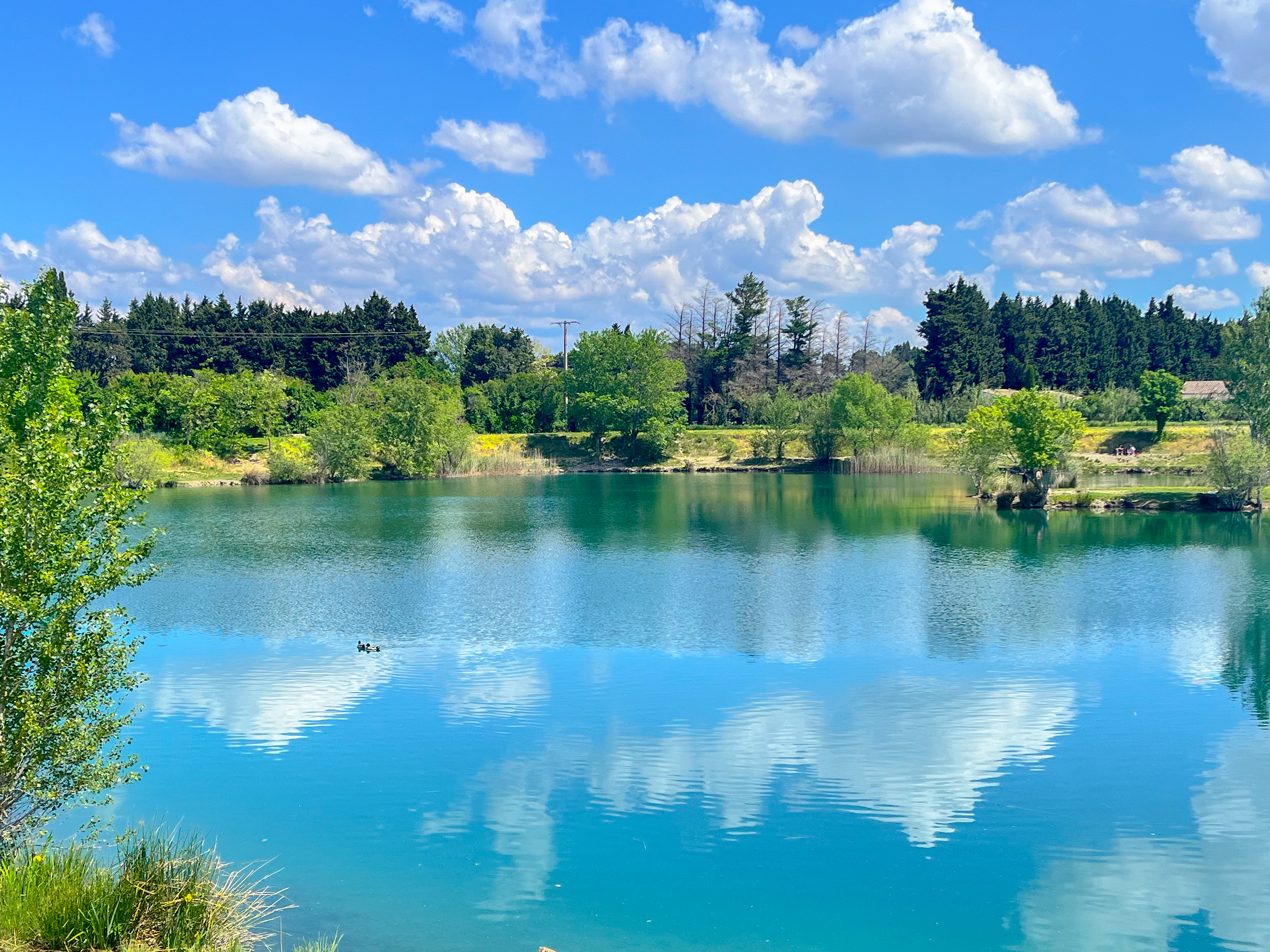 Lac de Cabannes, Cabannes - photo 5