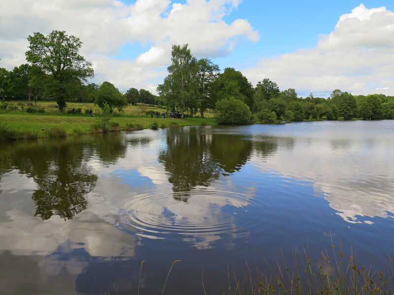 Site de Pêche - Étang de la Sagne