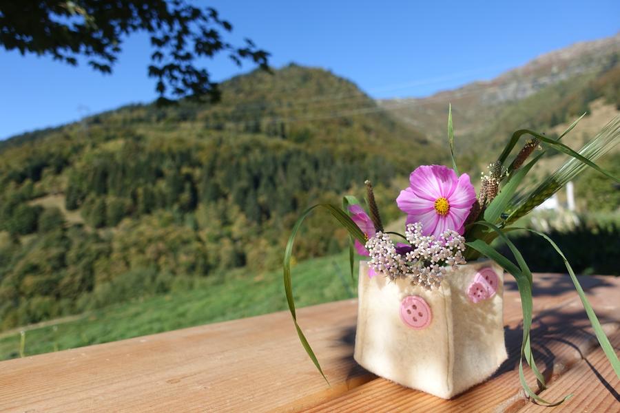Vue depuis la ferme de montsapey