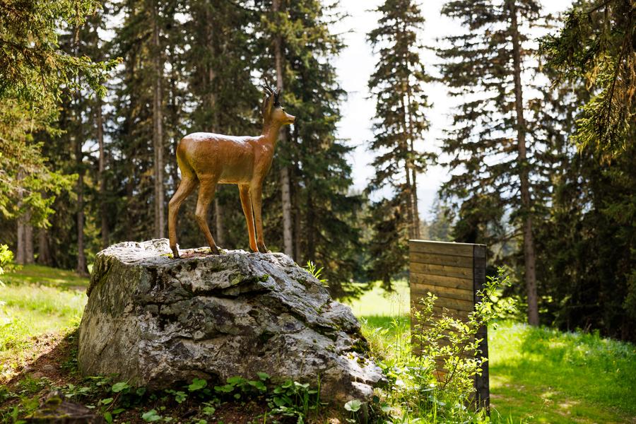 B14 - Les alpages de l'Altiport_Méribel