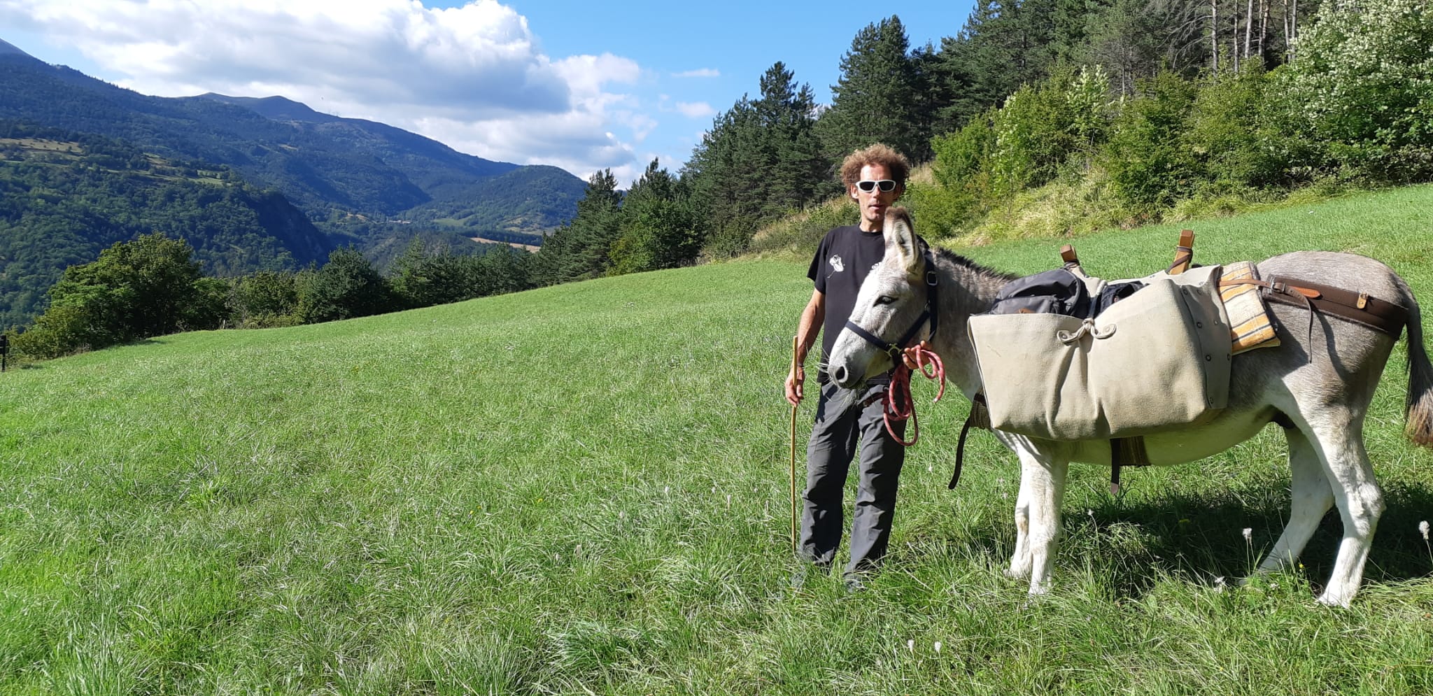 Balade avec un âne - À Fleurs de Montagne