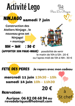 Activités lego du mois de juin-Rêve de briques-Saint-Chef-Office de Tourisme de…