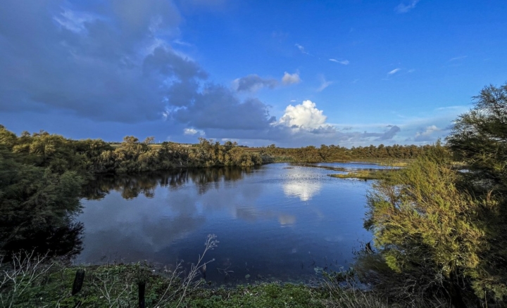 Chantier participatif dans les marais de Loix avec les écogardes