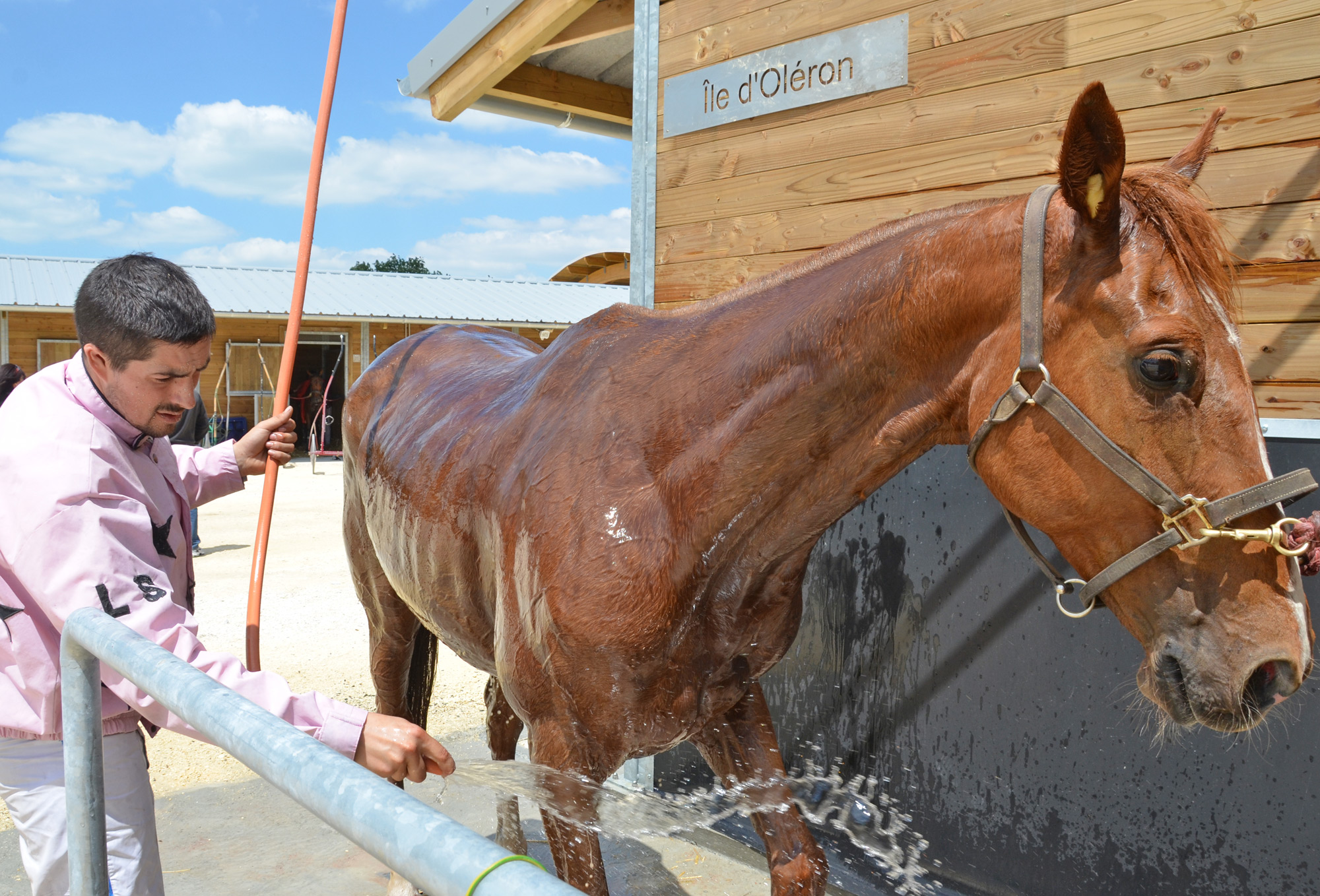 Courses à l'hippodrome