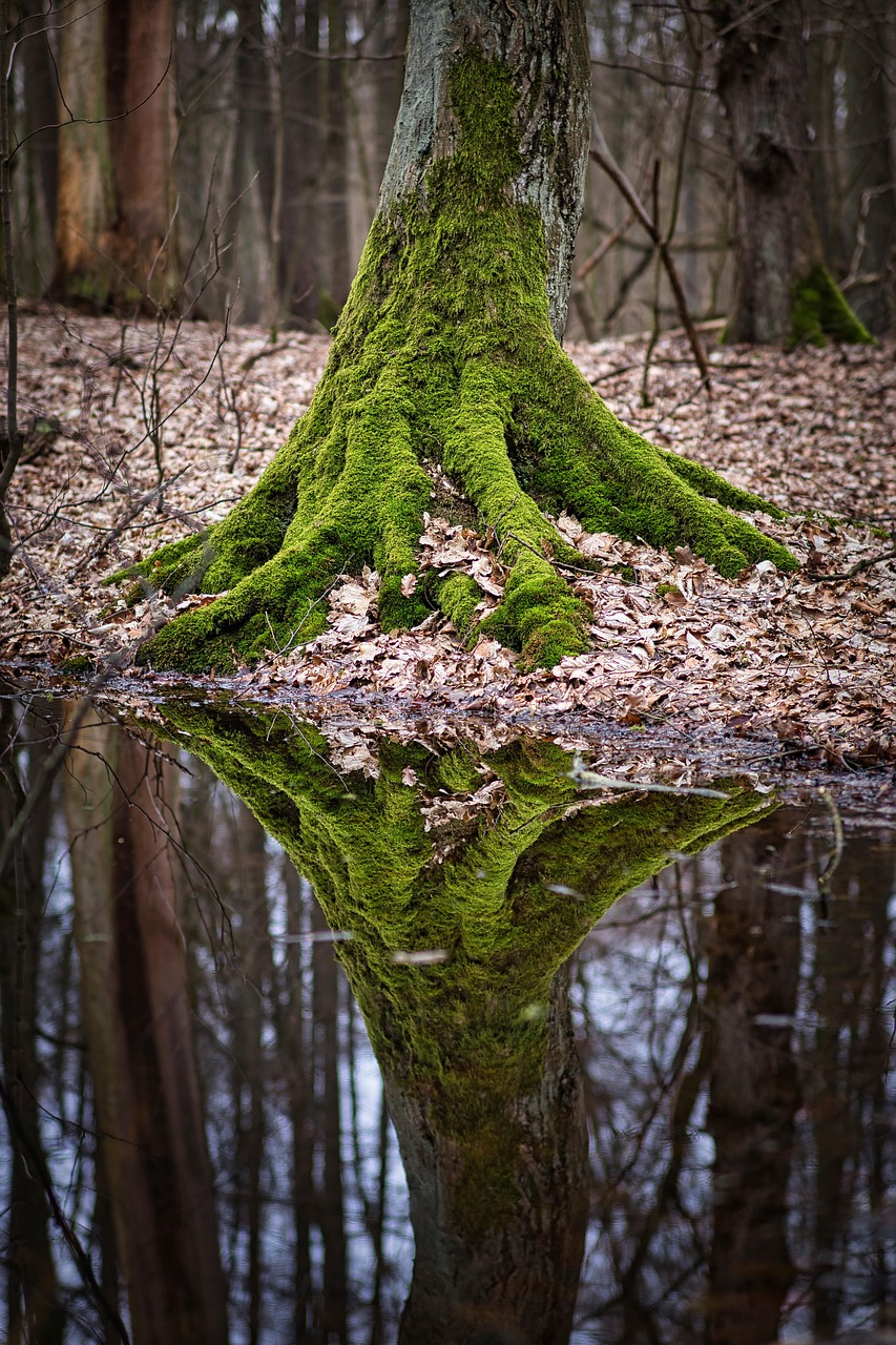 Opération de nettoyage "J'aime la nature propre"_Magnieu