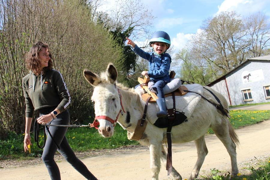 Balade à dos d'âne ou poney