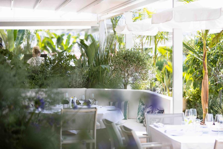 Le Negresco- Restaurant de La Plage