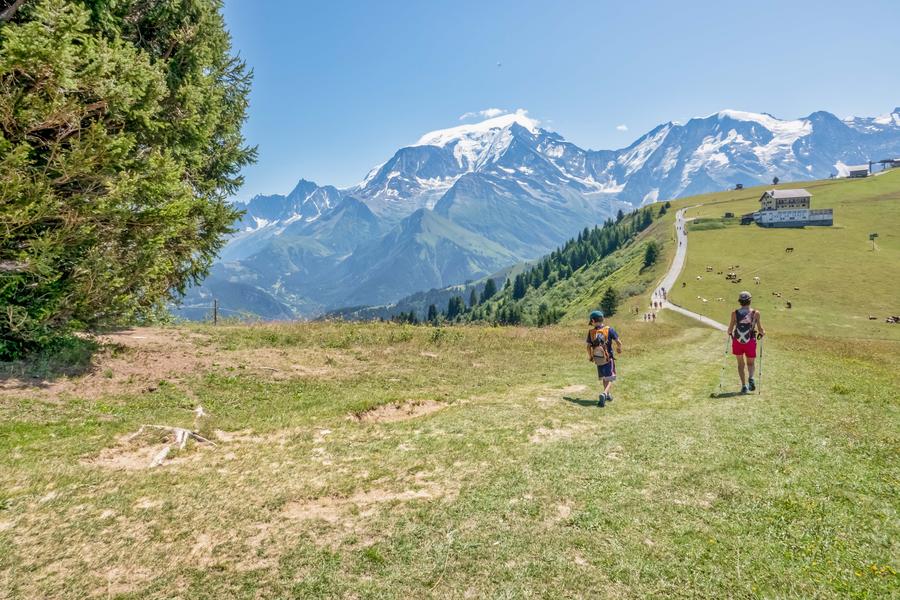 Crête du Mont d'Arbois