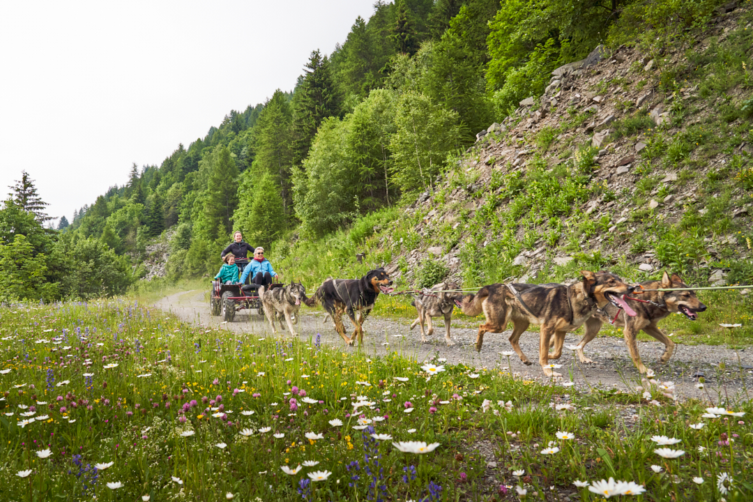 Mad Dogs Sport Aventure