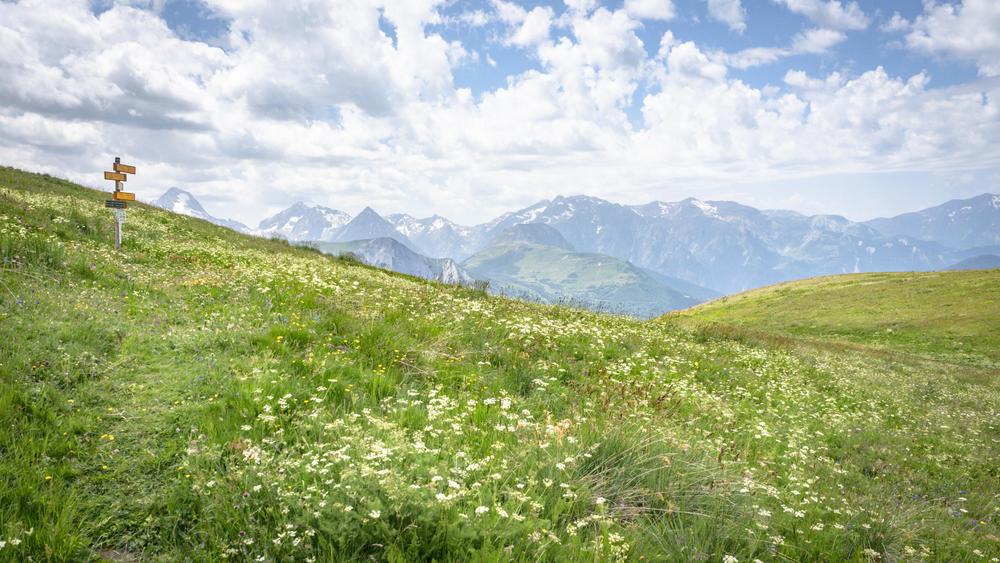 Loutre de Quoa - Randonnée depuis Besse-en-Oisans_Besse-en-Oisans