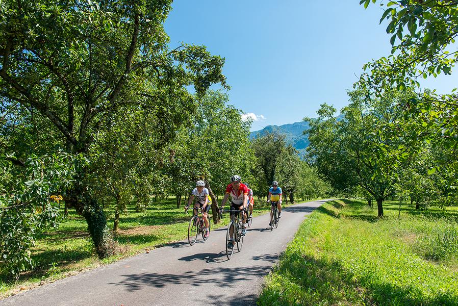 Groupe de cyclosportifs sur la Bella Via