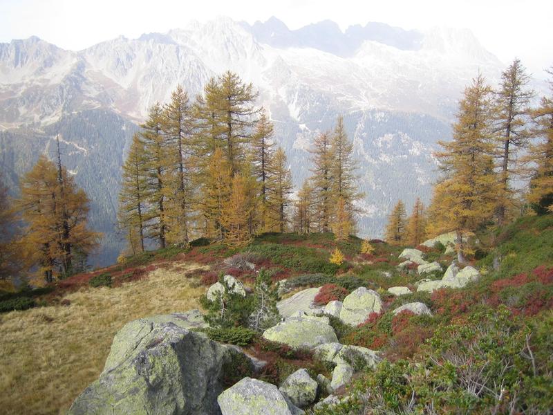 - © CREA Mont Blanc - © CREA Mont Blanc