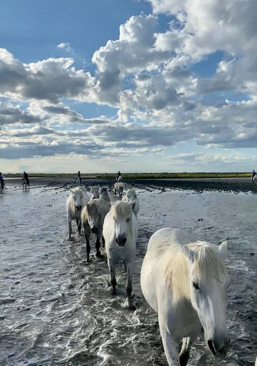 Rallye – promenade de l&rsquo;ACTE