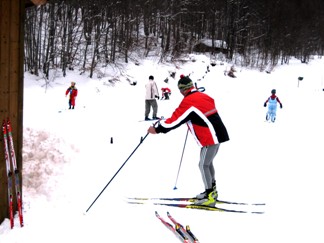 skirencurel8