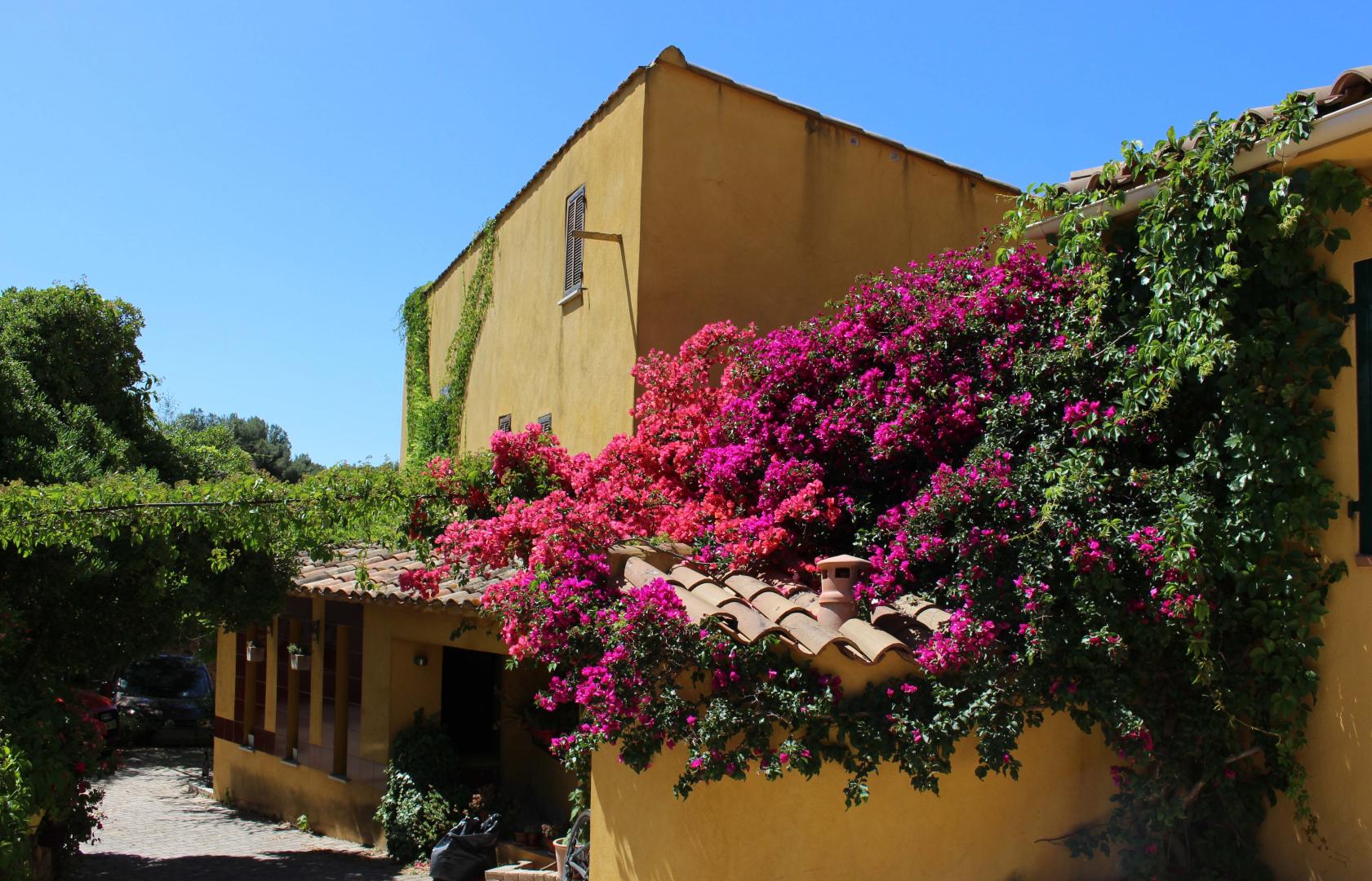 Hemera, La Ciotat - photo 15