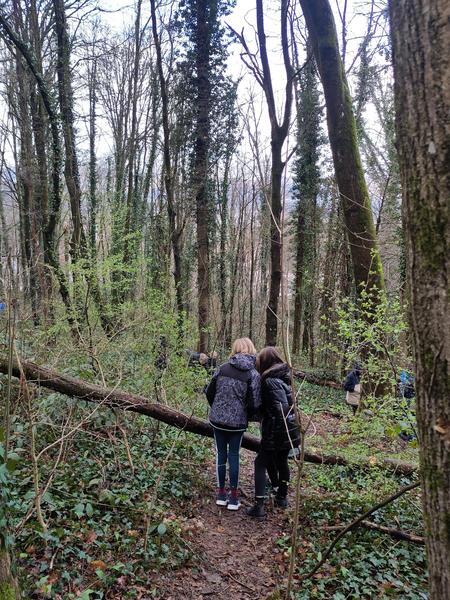 Image IMG_20250313_093225