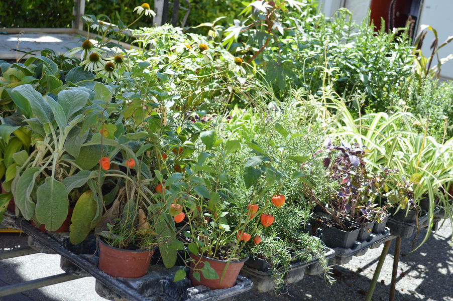 Marché provençal