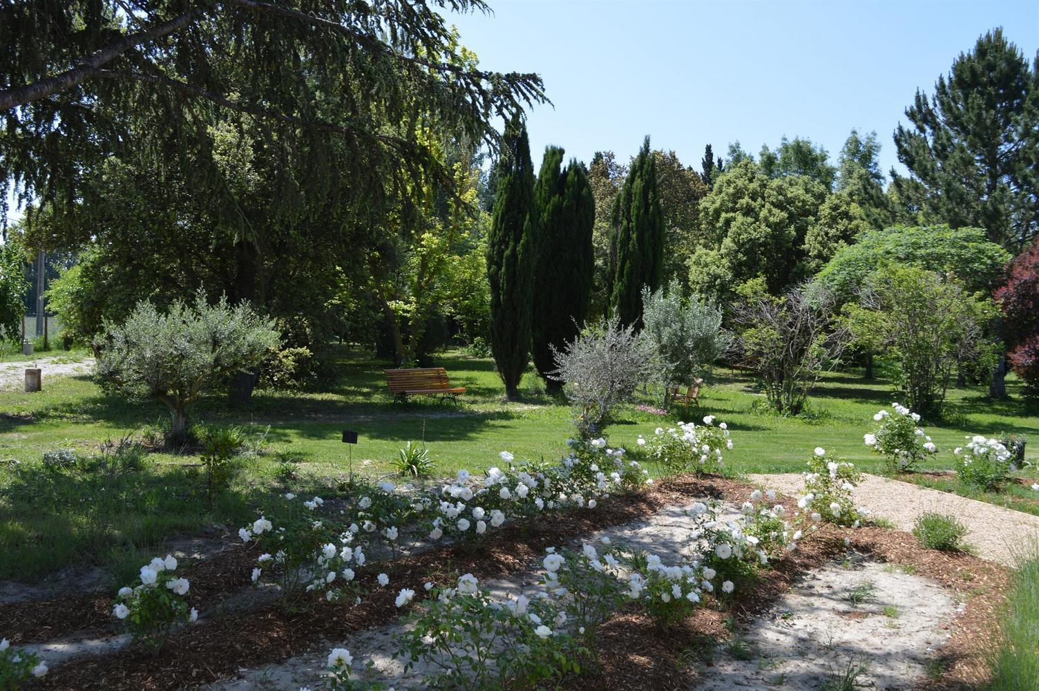 Mas des Princes, Noves - photo 52