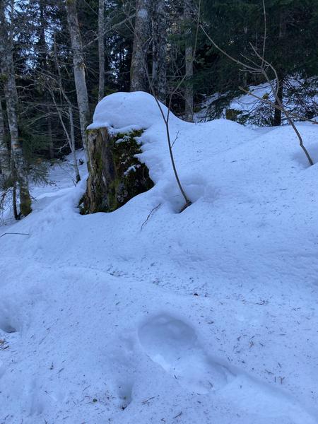 Itinéraire raquettes à neige : la petite traversée_Le Revard