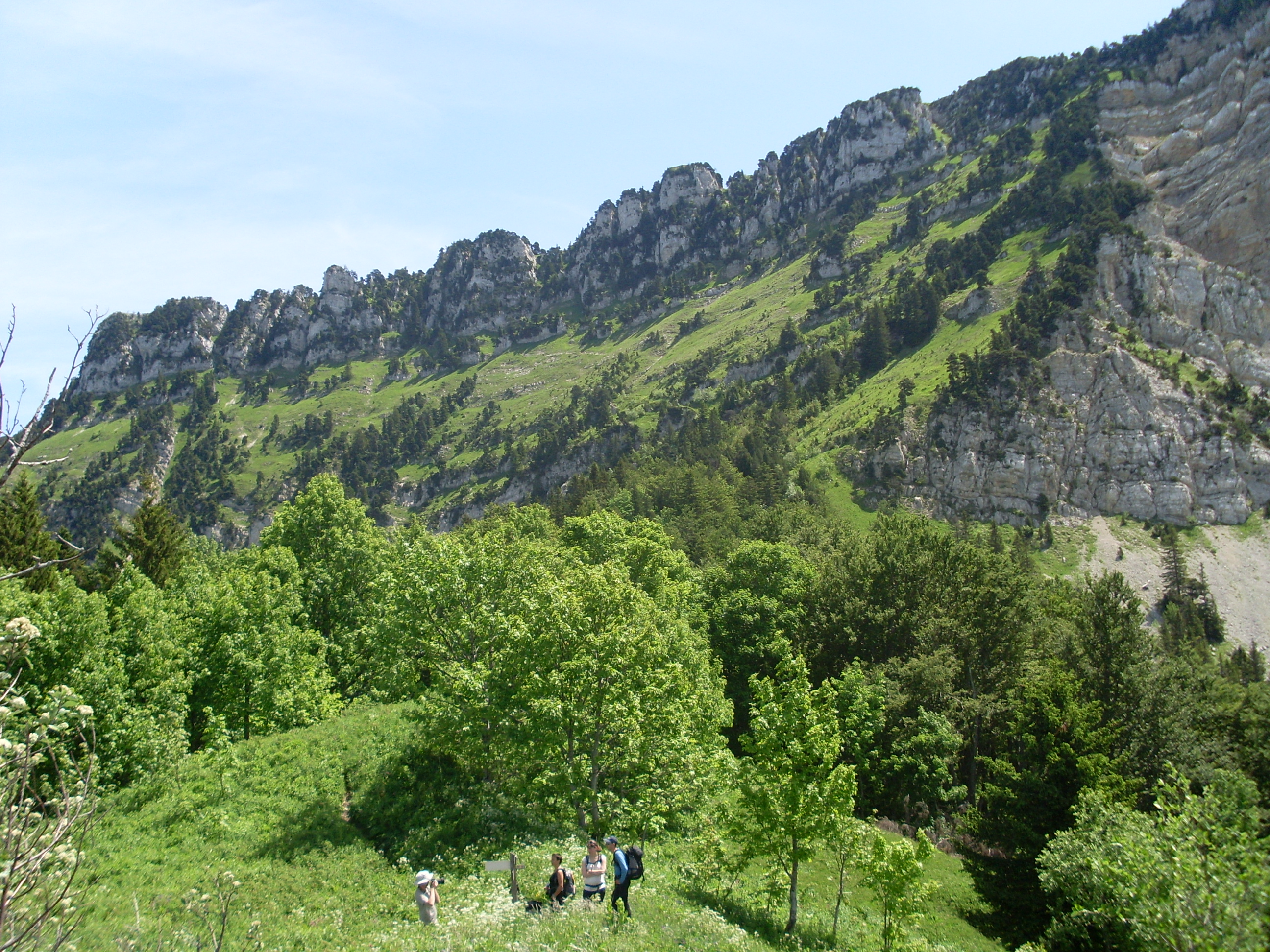 photosFeed-https://static.apidae-tourisme.com/filestore/objets-touristiques/images/180/131/3441588.jpg