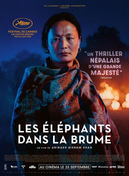 Ciné-rencontre : Les Éléphants dans la brume
