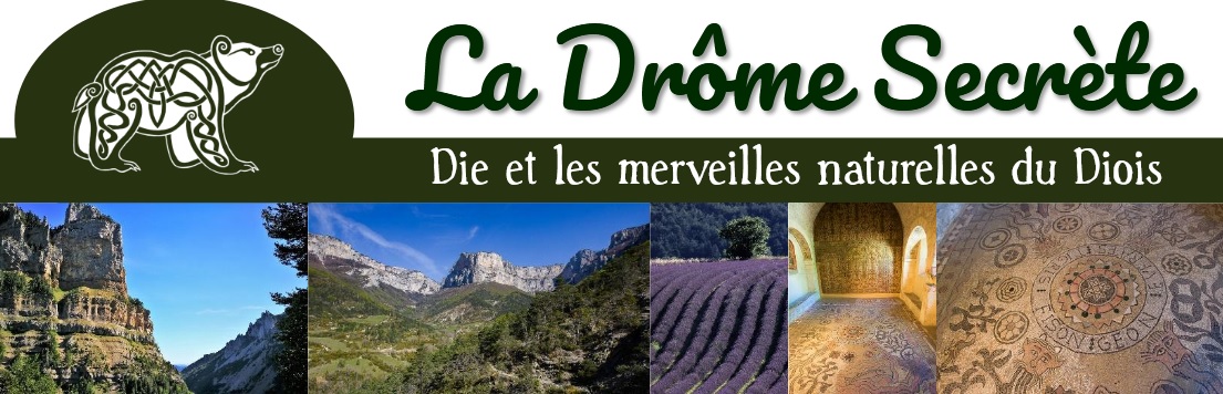 Diois et Roanne