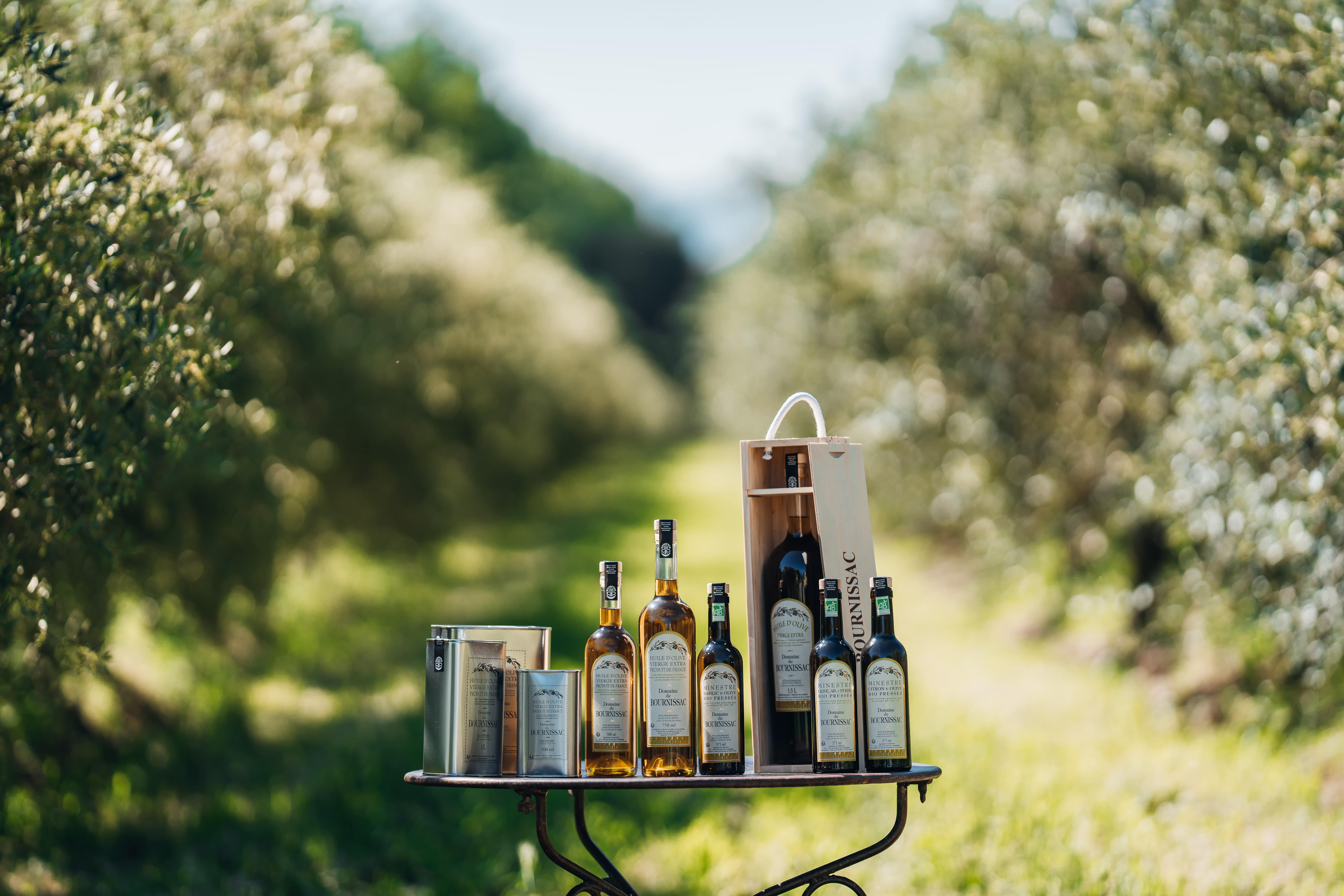 Moulin Domaine de Bournissac