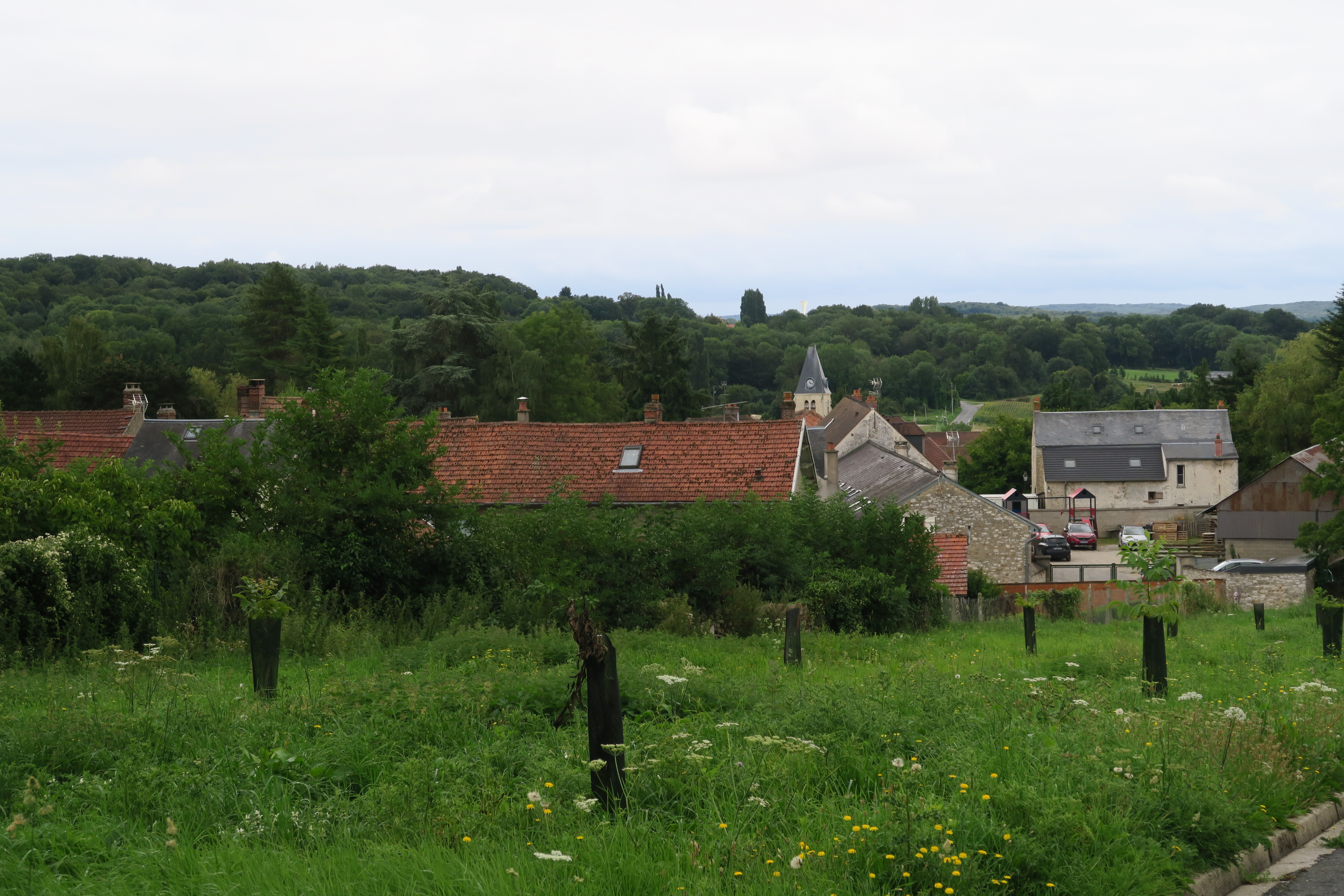 Villers-en-Arthies, entre champs et forêts