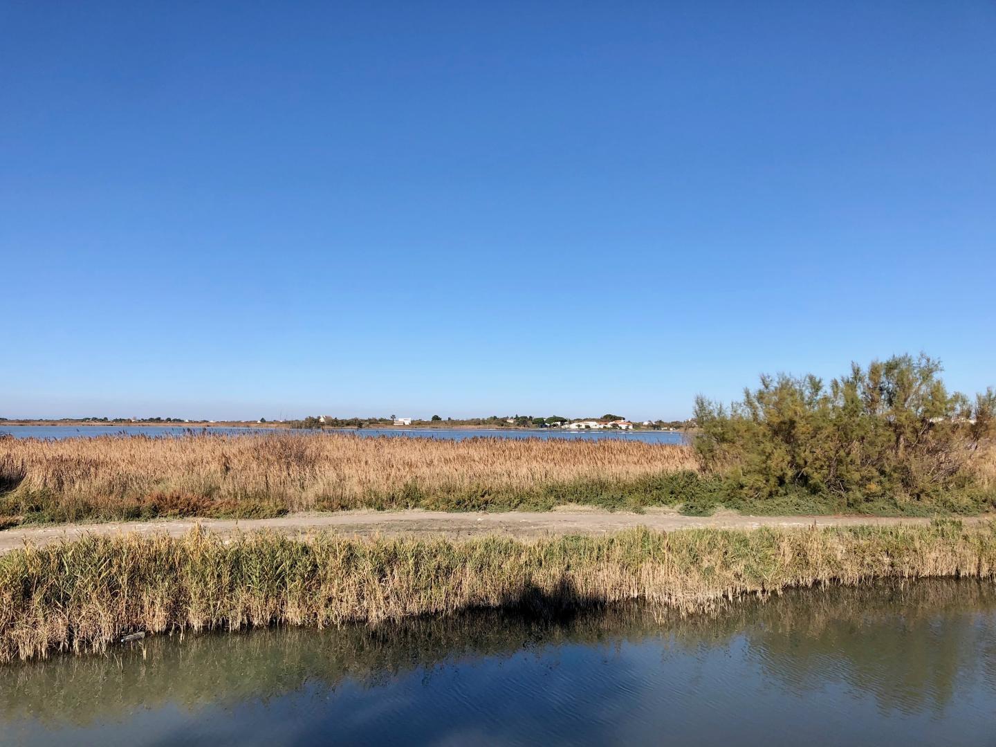 Le Grand Pêcheur, Saintes-Maries-de-la-Mer - photo 17