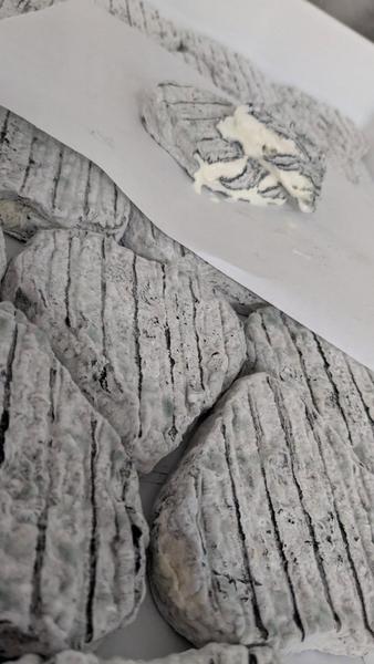 GAEC Dei Reïcampadis_Le Bourguet