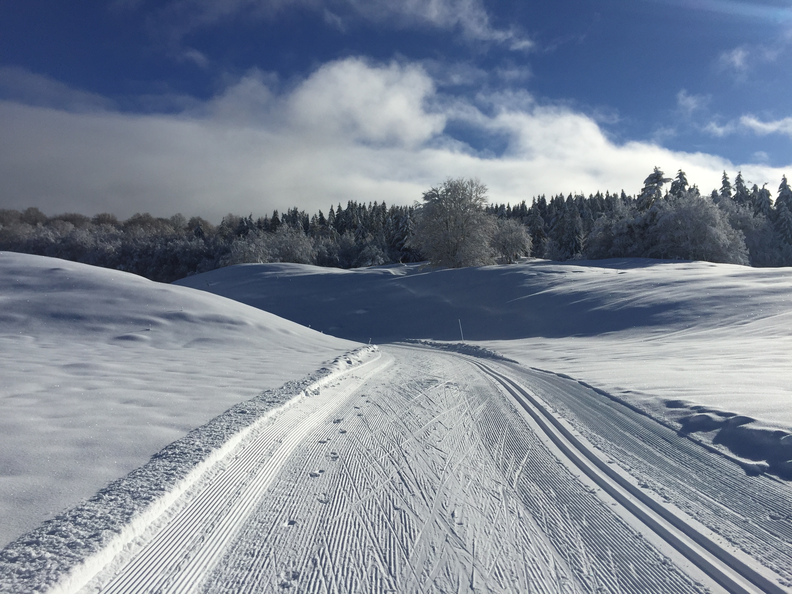 Piste verte de ski de fond du Plateau de Retord : La Vezeronce