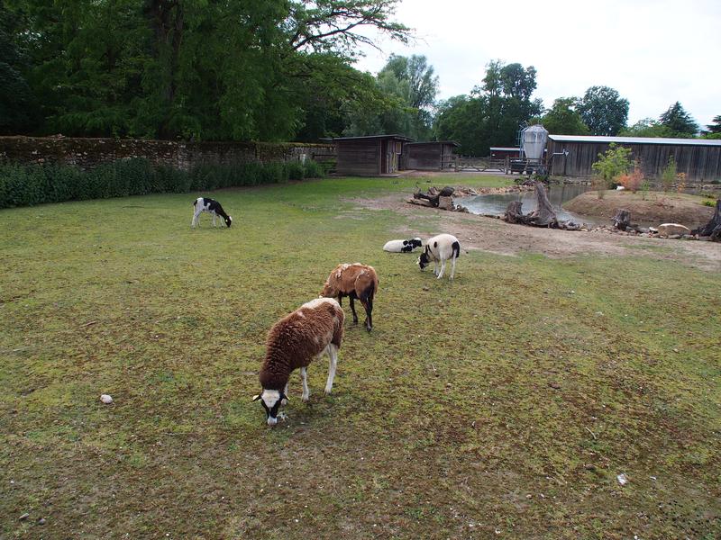 Ferme du Parc Pierre_Sainte-Geneviu00e8ve-des-Bois