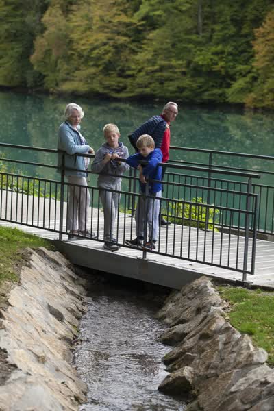 Promenade urbaine : Les berges du Rhne